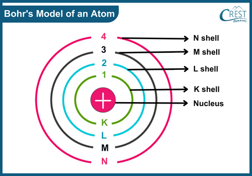 Bohrs Atomic Model - Labelled Diagram